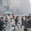 cbs 노컷뉴스 "느린학습자 연재기사 모음" 이미지