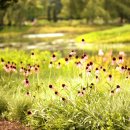 호숫가의 풍경 이미지