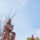 탄금호순환자전거길 8 | 운정 호수공원 공영주차장 산책 후기 건강 산책길 가볼만한곳 일상 공유하기