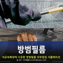 썬가드공식총판코코필름 이미지