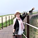 삼화목장 이미지