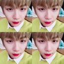 다니엘굿즈