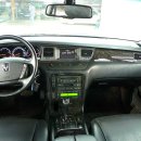 돋보이 개 이미지