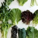 조아마트 이미지