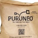 푸른잔디 이미지