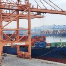 코스믹바이오 이미지