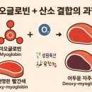 성원식육점 이미지