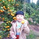 재경민박 이미지