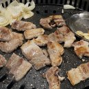 본토박이한우 이미지