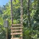 크리앤크 | #3. 끄라비 여행_정글투어