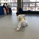 Dream of JuDo 반석유도관 이미지