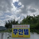 토마토무인텔 이미지