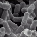 우리성모약국 이미지