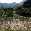 태인2길 이미지