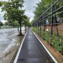 호수부분정비 이미지