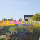 제주 홀리데이 투어