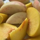 솔빛농원