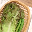 우두령 | 우두령, 대전 맛집/대전 둔산동 맛집 인정따리 인정