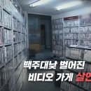 장미비디오 이미지