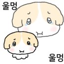 풀꽃빌리지