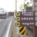 사회적협동조합반려동물 이미지