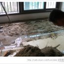 웨스턴홈 이미지