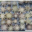 등불농장 이미지