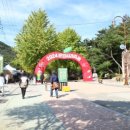 [10/25] 2024 문경사과축제 방문 후기