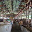 운산리축사 이미지