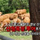 명품 TMR 사료 | 산청목장 투어 후기 - (1)경남 산청을 다녀오다.