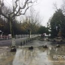 황룡체육관 이미지