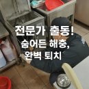 【 광주해충방역 | 전문가 방역으로 깔끔하게, 안심하세요! 】