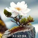 보고싶은얼굴