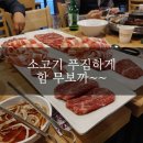 육백플러스 이미지