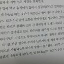 양이조아