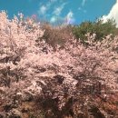 십리곳