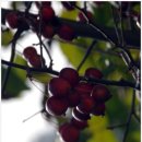 율리영해1길 이미지