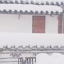 토요일 신나게~~ 이미지