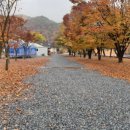 뉴힐링캠프 이미지