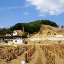 용문목장 이미지