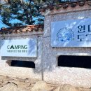 안성 내츄럴리조트 | 경기도 안성 내츄럴리조트 애견 캠핑장/만나 247 애견 카페 후기