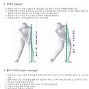 춘장대골프