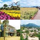 맛으로 여는 행복 | 순천 설날 설연휴 문여는 음식점 남흥회관에서 뜻깊은 시간 가지세요