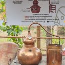 이카 | 페루 리마 근교 1일투어 - 이카 피스코 와이너리 투어 솔직 후기