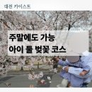 카이스트 정문 | 대전 카이스트 벚꽃, 35개월 9개월 아이랑 주말 외출 코스 (잇마이타이 저녁식사까지)