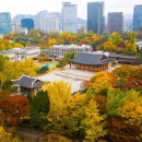 GROOMING-J 이미지