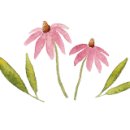 64 inn HOTEL 이미지