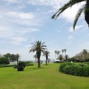 소노캄제주EAST동 | 제주에서 만난 품격 있는 힐링, 소노캄 제주 리조트 후기