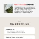 사인라이트 이미지