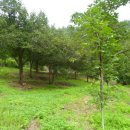 순양농장 이미지